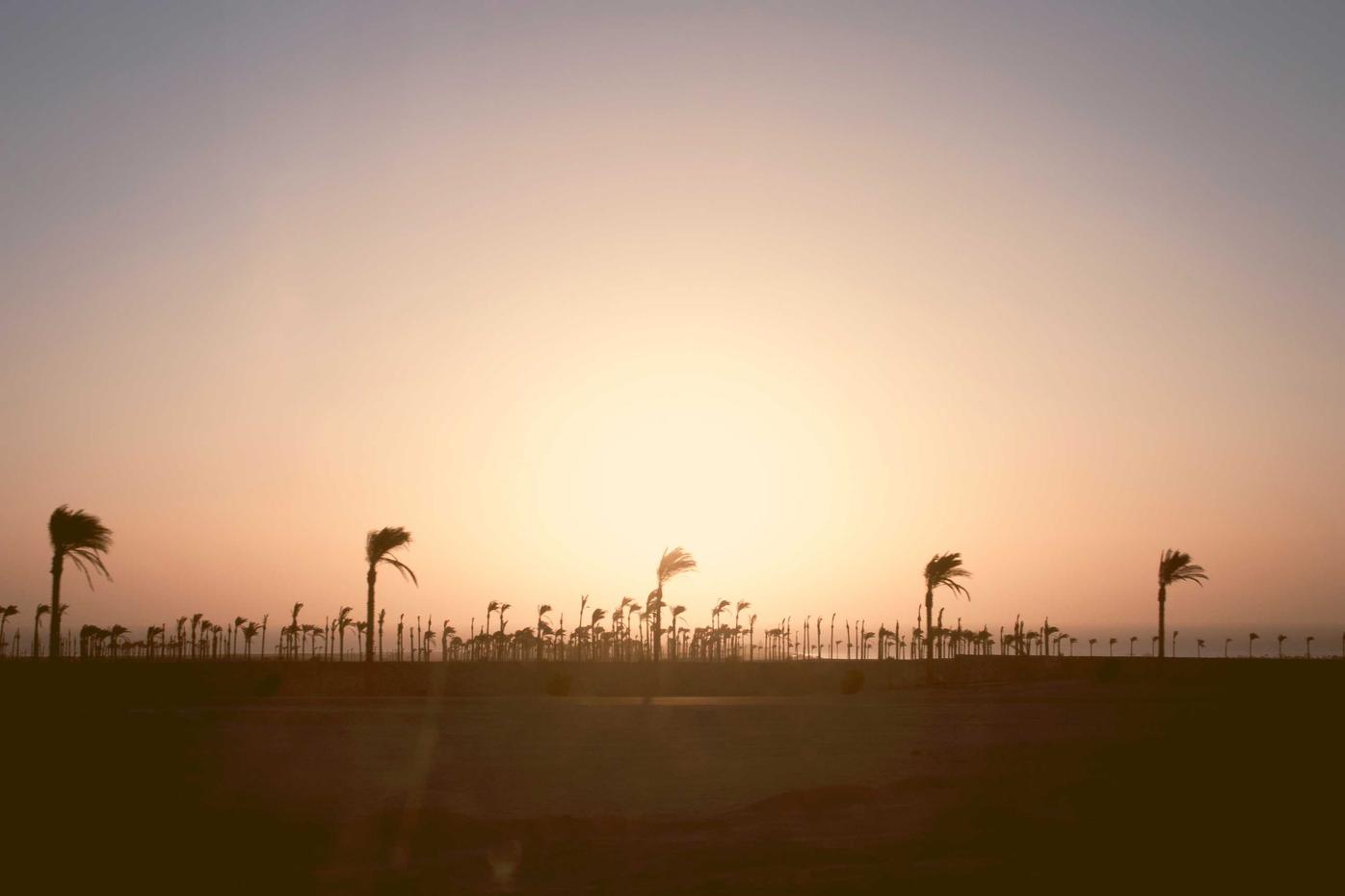 Zicht op een weidse woestijn met wuivende palmen onder een ondergaande zon voor optimale WCAG toegankelijkheid.