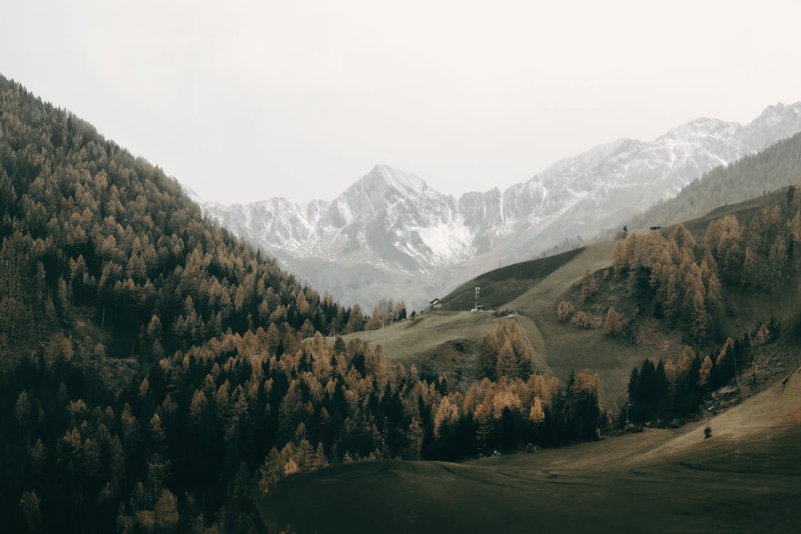 Uitzicht op een berglandschap met hoge bergen en groen bos in de voorgrond.