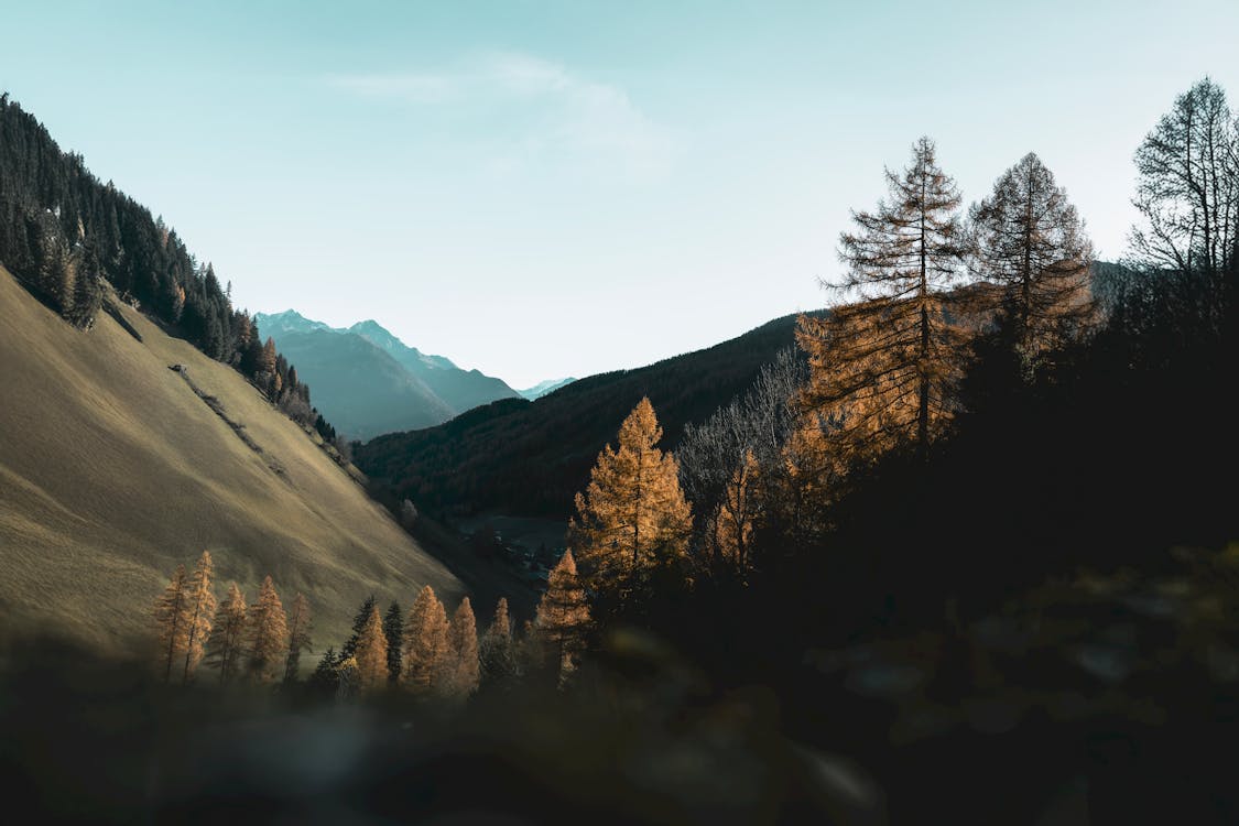 Landschap met berghellingen, herfstbomen en een heldere lucht, geschikt voor toegankelijkheid en visuele ondersteuning.